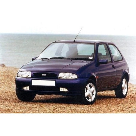 ammortizzatori-posteriori-ford-fiesta-96-escl-van-da-95-98