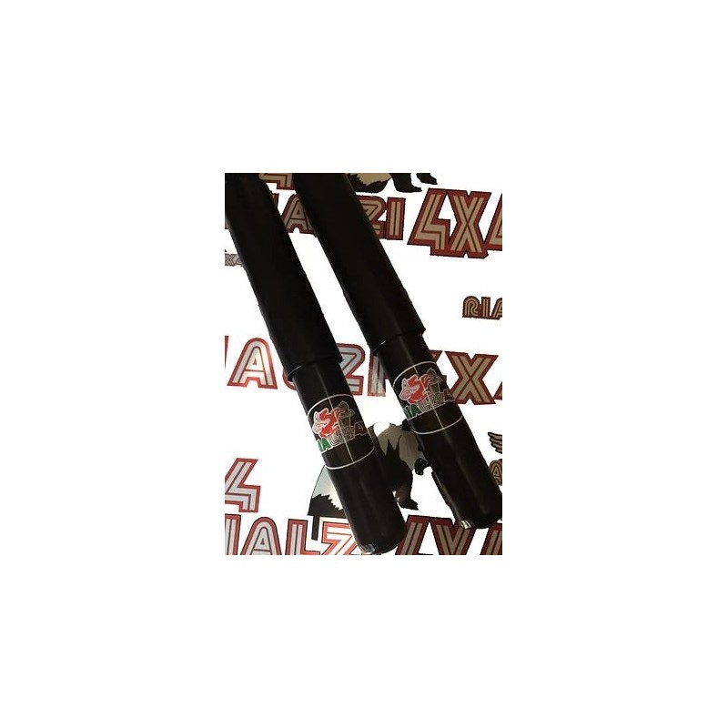 autobianchi-y10-rear-shock-absorbers
