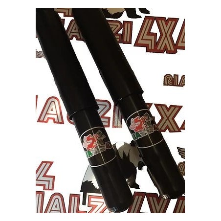 ammortizzatori-posteriori-autobianchi-y10