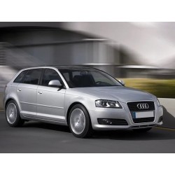 ammortizzatori-posteriori-audi-a3-quattro-8l-da-97-03