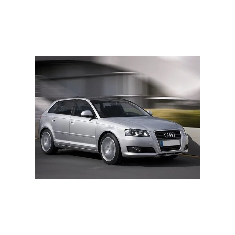 ammortizzatori-posteriori-audi-a3-quattro-8l-da-97-03