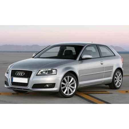 ammortizzatori-posteriori-audi-a3-8p-2003-2013