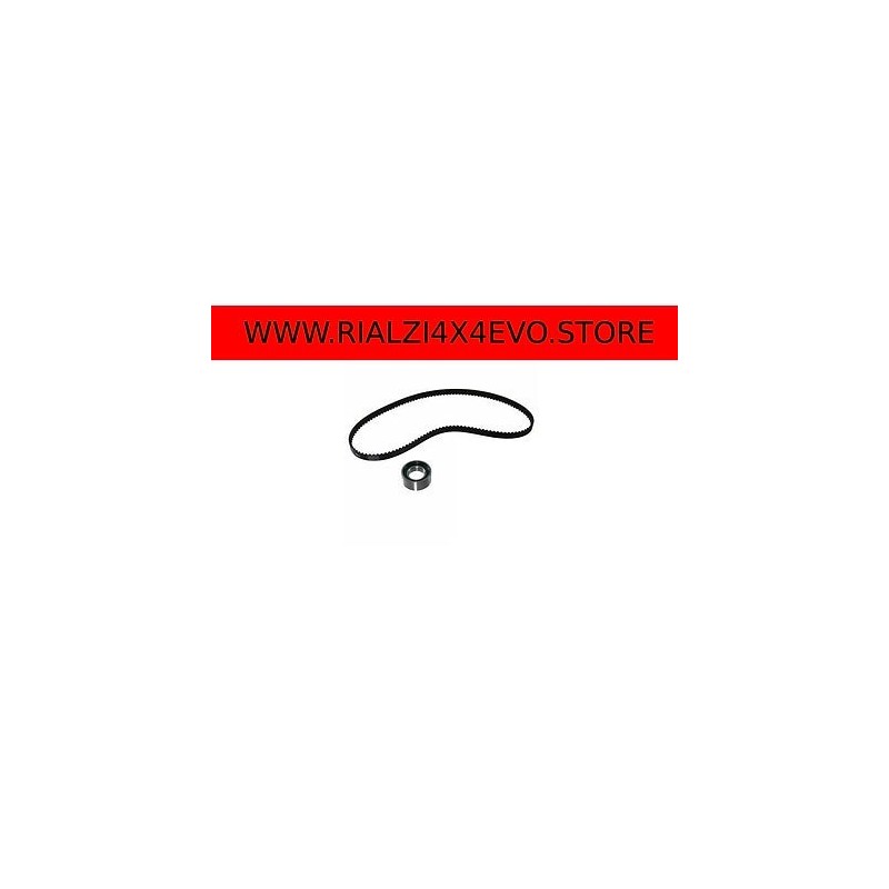timing-belt-panda-312-and-169