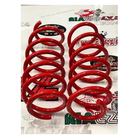 front-springs-panda-2wd-second-series-from-2003-to-2013-raised-2-5-cm