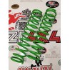 front-springs-panda-2wd-first-series-from-1980-to-2003-raised-3-cm