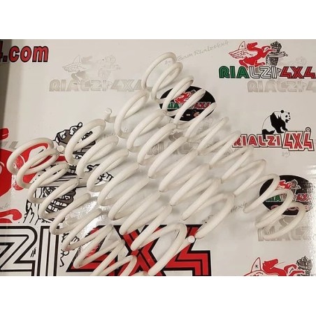 kit-4-springs-panda-2wd-first-series-from-1980-to-2003-raised-2-cm