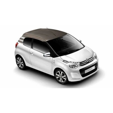 paire-d-amortisseurs-arriere-citroen-2014-2019