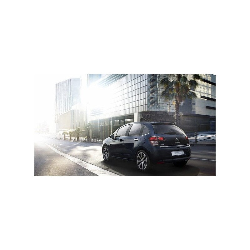 coppia-di-ammortizzatori-anteriori-citroen-c3-2009-2017