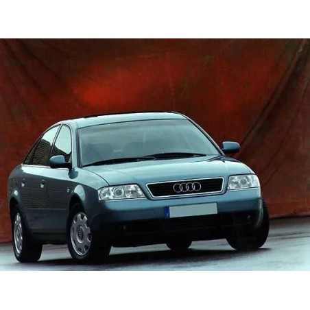 coppia-di-ammortizzatori-posteriori-audi-a6-1997-2005