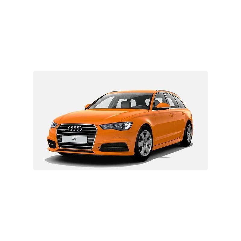 paire-d-amortisseurs-arriere-audi-a6-2010-2019