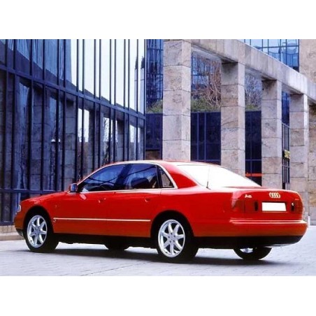 coppia-di-ammortizzatori-anteriori-audi-a8-1994-2002