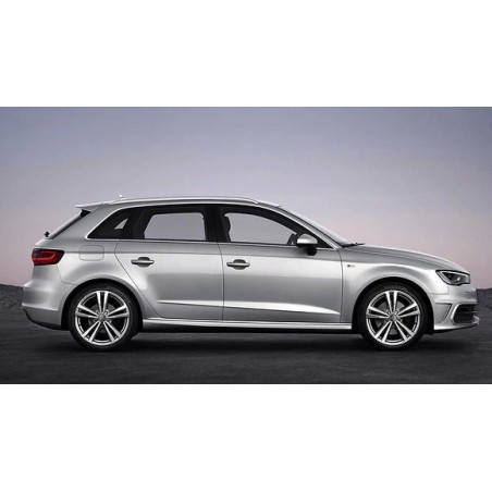 coppia-di-ammortizzatori-posteriori-audi-a3-2012-2018