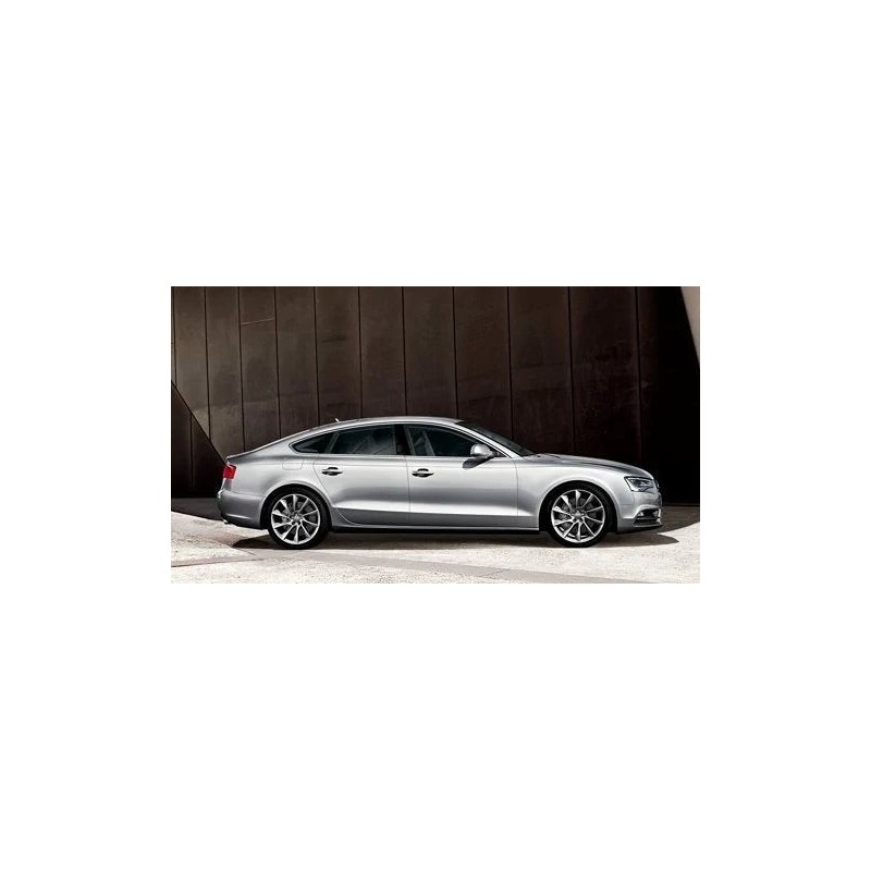 paire-d-amortisseurs-arriere-audi-a5-2007-2017