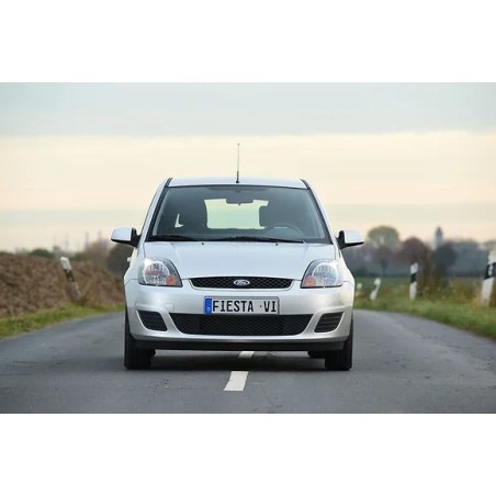 coppia-di-ammortizzatori-anteriori-ford-fiesta-5a-serie