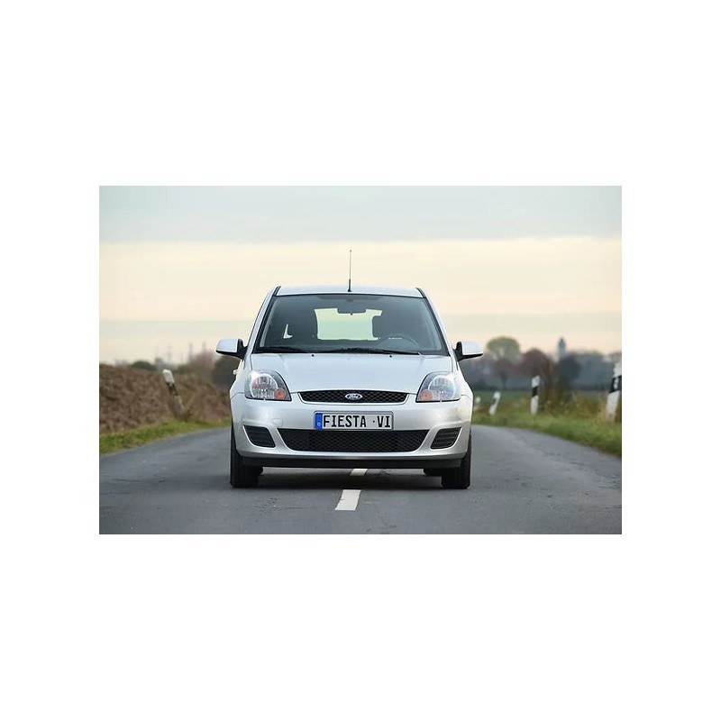 coppia-di-ammortizzatori-posteriori-ford-fiesta-5a-serie
