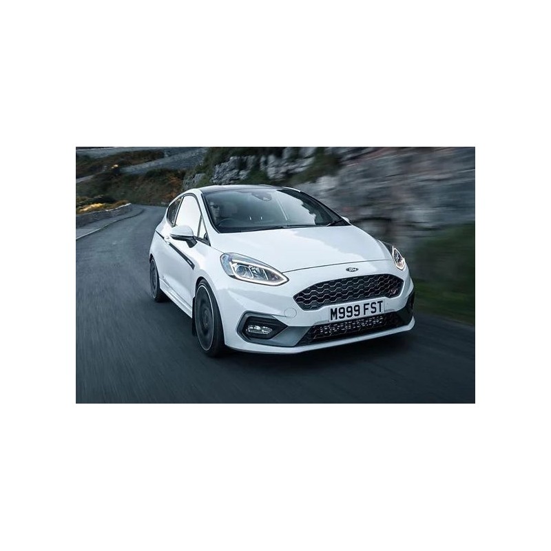 coppia-di-ammortizzatori-posteriori-ford-fiesta-mk8