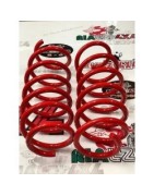 Front springs